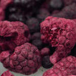 freeze dried fruit and vegetable suppliers